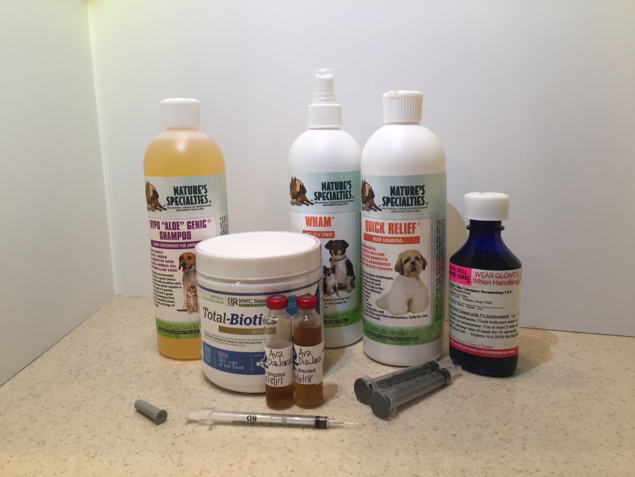 Dog Allergy Treatment Plans That Will Make Things Easy