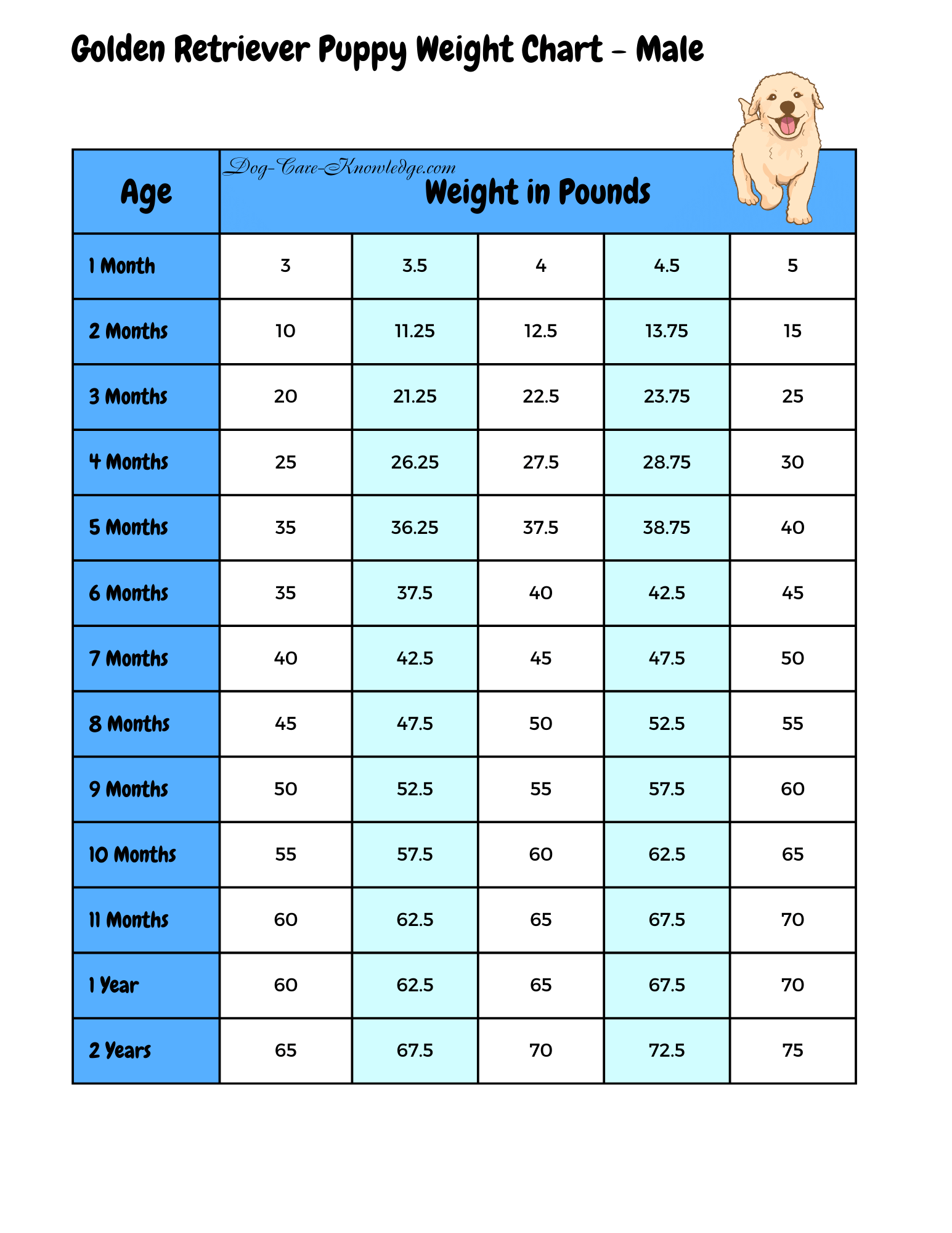 Understanding Your Golden Retriever Puppy Weight Chart