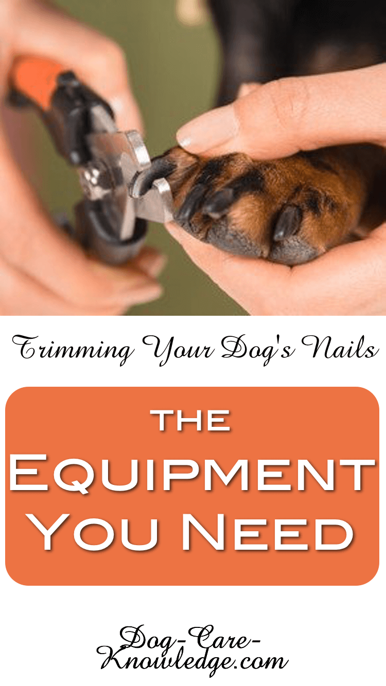 best way to trim dogs nails at home